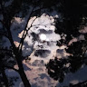 Meet your Posher, Jimmy